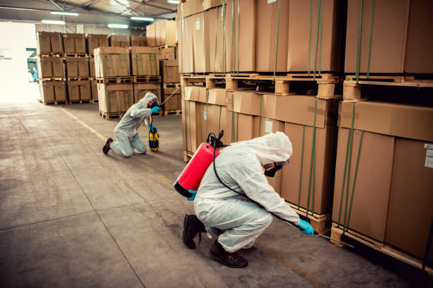 Best Mosquito Control Services  in Weatherby Lake, MO