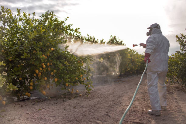Pest Control for Restaurants in Weatherby Lake, MO