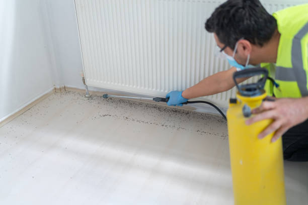 Best Exterminator Services  in Weatherby Lake, MO